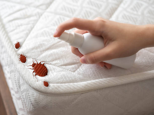 Real Estate Pest Inspections in Lowell, OR